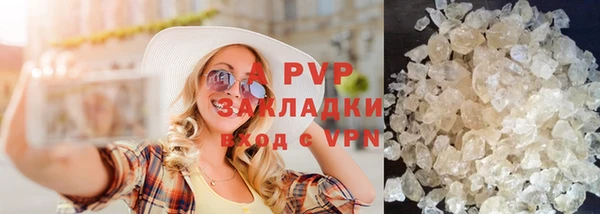 спайс Богданович