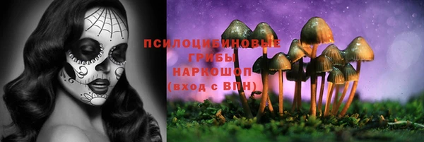 спайс Богданович