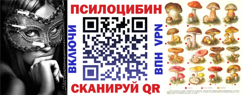 Галлюциногенные грибы Psilocybine cubensis  Мамадыш 